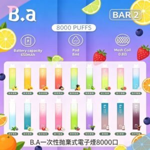 B.A一次性抛棄式電子煙8000口