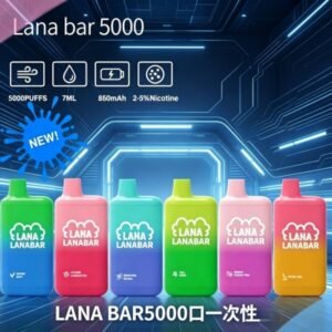 LANA BAR5000口可充电拋棄式一次性電子煙(3.0%)