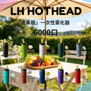 LH HOTHEAD皮革瓶6000口拋棄式電子煙可充電一次性