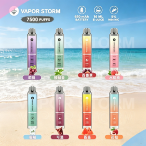 VAPOR STORM風暴辣妹7500口拋棄式一次性可充電電子煙（5%）
