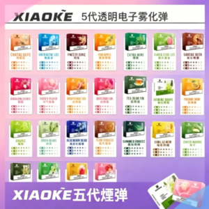 XIAOKE梟客煙彈五代電子菸彈
