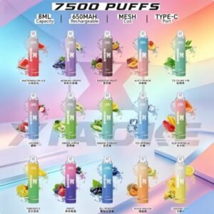 XIAOKE梟客7500口一次性電子煙