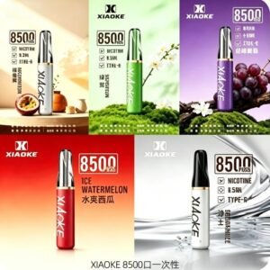 XIAOKE梟客 8500口一次性電子菸拋棄式